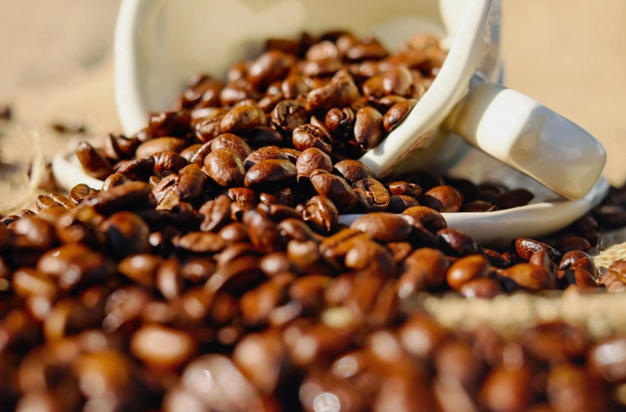 Heißer Filterkaffee dampft in der Kanne