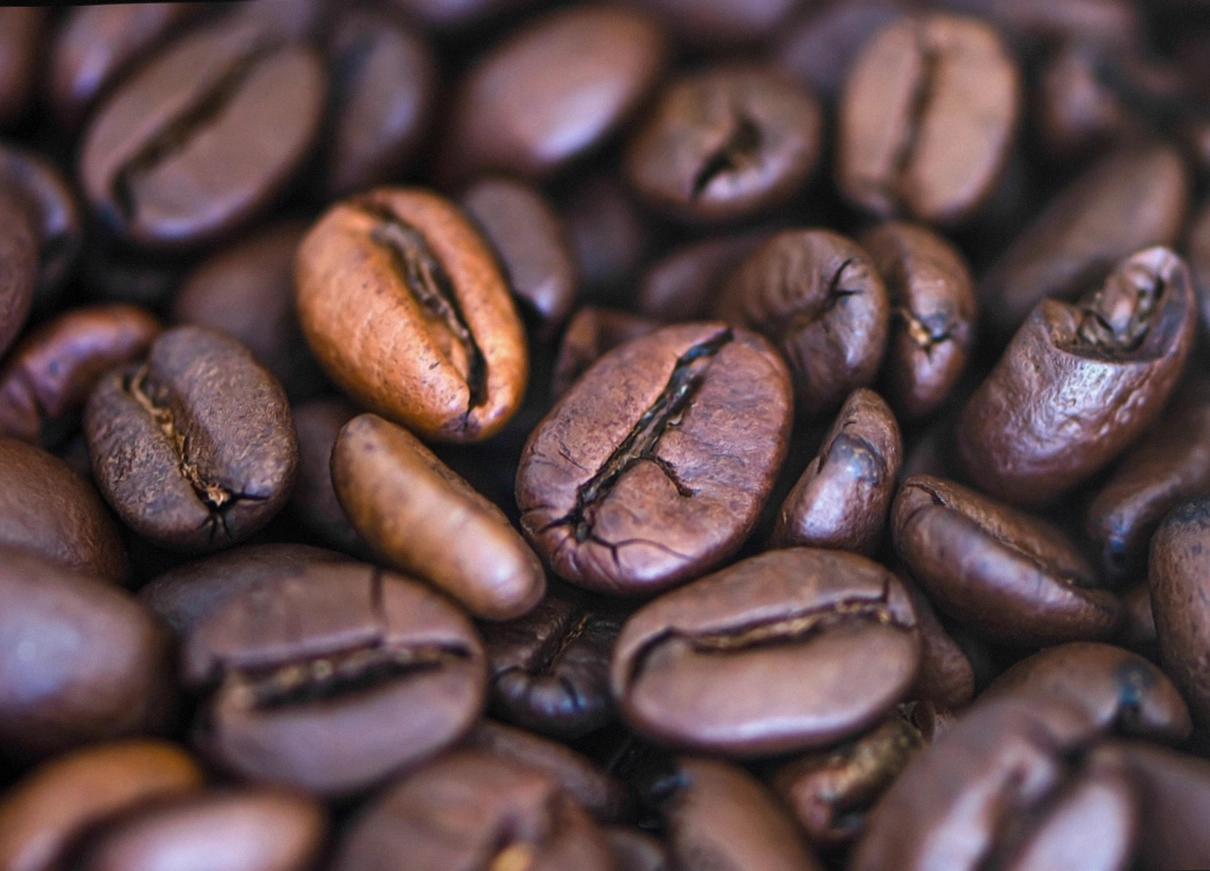 Cupping-Tisch mit mehreren Verkostungsschalen und Löffeln