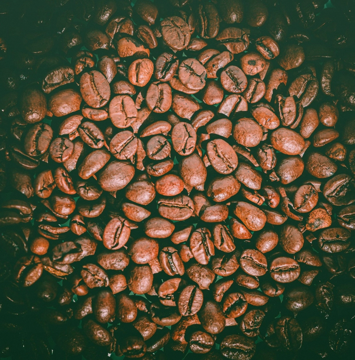 Flat White auf dem Tresen mit Kuchenteller